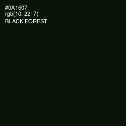 #0A1607 - Black Forest Color Image